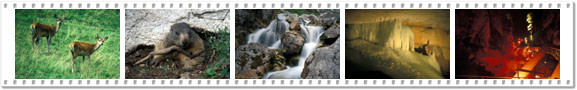 Dachstein-Region