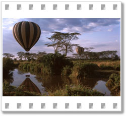 Serengeti