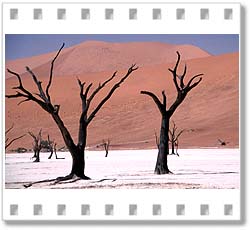 Namib-W�ste