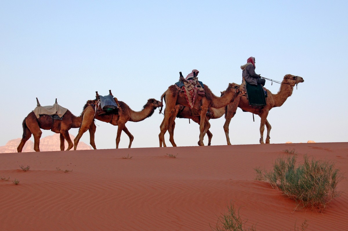 01-Jordanien-Wuestenschiffe-15801.jpg