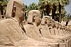 13-Aegypten-Luxor-06475.jpg